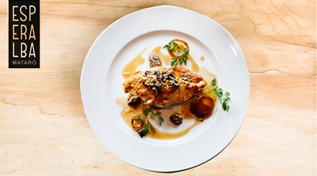 Escull el segon plat